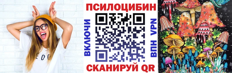 Галлюциногенные грибы Cubensis Мостовской