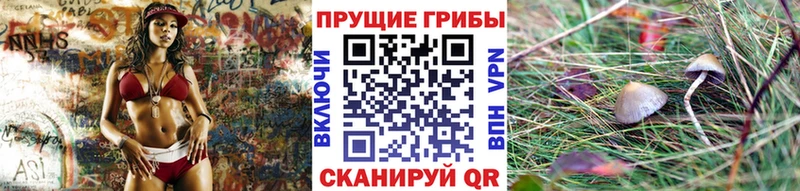 mega ТОР  где купить наркотик  Мостовской  Галлюциногенные грибы Cubensis 
